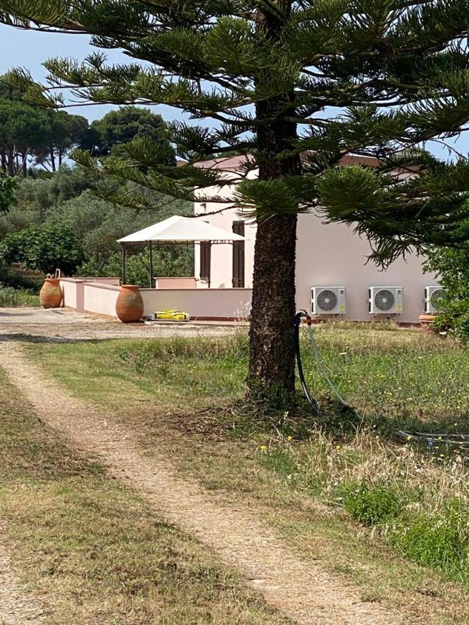 Miquel Fort - Casina Di Campagna 阿尔盖罗 外观 照片